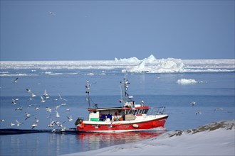 Fishing boat between icebergs and ice floes