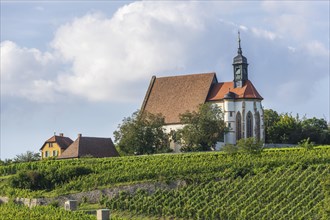 Late Gothic pilgrimage church Maria im Weingarten