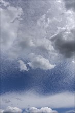 Cumulus cloud (Cumulus) and Cirrocumulus