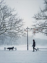 Man walking his dog in the city park. Silhouette of a person and pet wandering the snowy street in a cold winter morning. Blizzard and snowfall weather