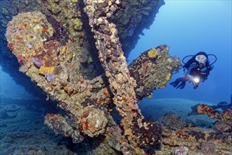 Diver looking at propeller and rudder from the wreck of the Virgen de Altagracia