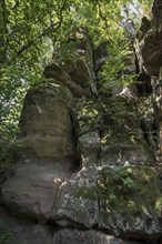 Rocks in the Schwarzachklamm