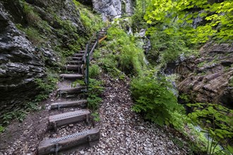 Wooden steps through the Tscheppaschlucht