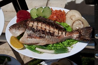 Mediterranean fish dish grilled gilthead sea bream (Sparidae) in restaurant on harbour promenade