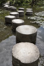 Stepping stones in the pond