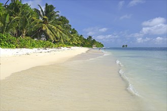 Dream beach Anse La Reunion