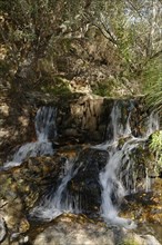 Waterfall at Poco da Broca
