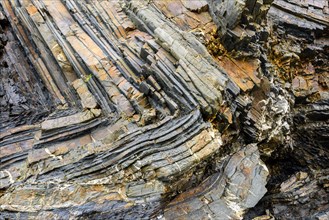 Chevron folding in sedimentary rock in the cliff at Duckpool on the Heritage Coast of North Cornwall