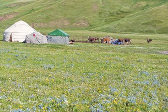 Nomadic yurt camp