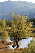 Landscape near Virpazar on Lake Skadar