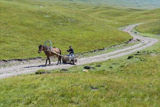 Kyrgyz man carrying milk tank on a horse cart