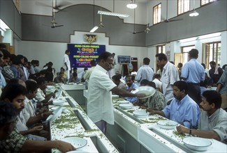 Cardamom auction in cardamom processing and marketing company ltd at Kumily in Kerala