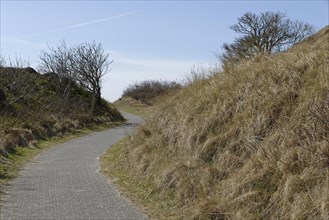 Footpath and cycle path