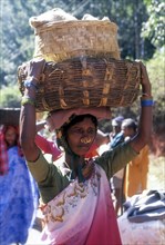A tribal woman holding basket on her head at weekly market in Sunkarametta