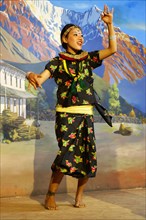Traditional Tibetan dance performed by a folkloric group