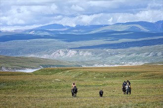 Kyrgyz horsemen leading an ox