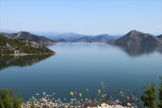 Lake Scutari National Park