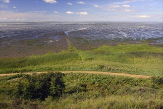 Wadden Sea at low tide at Morsum Cliff