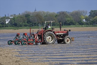 Tractor sowing