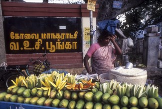 Unripe mangoes for sale on a hand cart near VOC Park