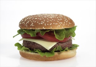 Hamburger against white background