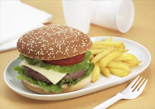Hamburger in a plate with french fries
