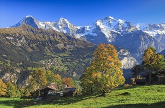 View in autumn from Sulwald of the village of Wengen