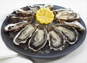 Plate of French Marennes d'Oleron oysters