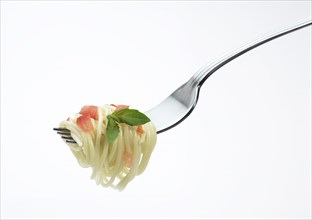 Spaghetti pasta with tomato and basil