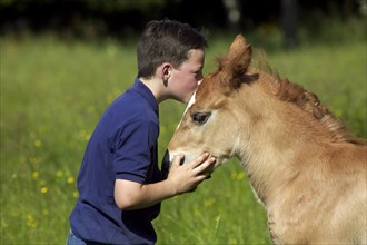 Boy Kissing a Foal by Norman Cob