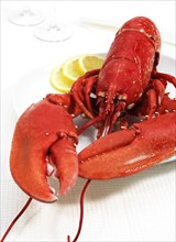 Plate with boiled Lobster