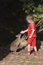 BOY WITH BENNETT'S Red necked wallaby