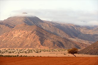 Mary River Valley in the dry season