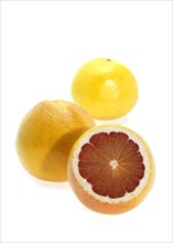 GRAPEFRUIT citrus grandis against white background