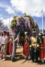 Caparisoned and Painted Elephant Dussera dusera Festival at Mysore