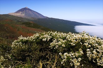 Pico del Teide Volcano