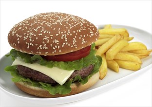 HAMBURGER AND FRIES IN FRONT OF WHITE BACKGROUND