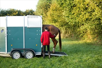 Man with his Selle Francais horse getting into a horse trailer