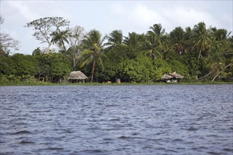 ORINOCO DELTA IN VENEZUELA WITH HOUSE ON PILE