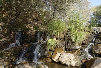 Waterfall at Poco da Broca