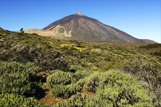Pico del Teide Volcano
