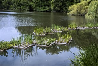 Floating artificial islands with vegetation in the pond for fish to spawn and breeding place for water birds