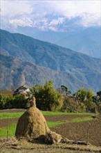 Himalayan Mountains seen from the mountain village of Dhampus