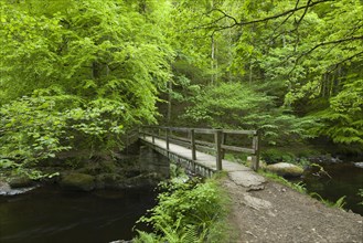 Ash Bridge over the East Lyn River at Barton Wood in Exmoor National Park near Watersmeet