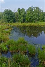 Schwalm-Nette nature Park