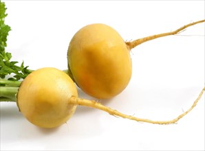 Golden Ball Turnips