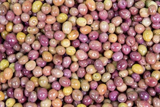 Macro view of olives as background in spice bazaar