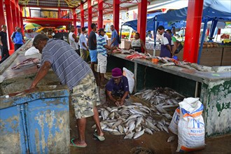 Freshly caught fish for sale