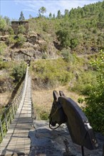 Swing bridge in Foz de Egua