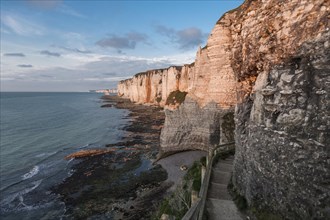 Coast with chalk cliffs